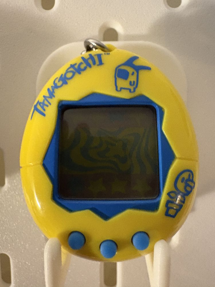 Yellow with Blue